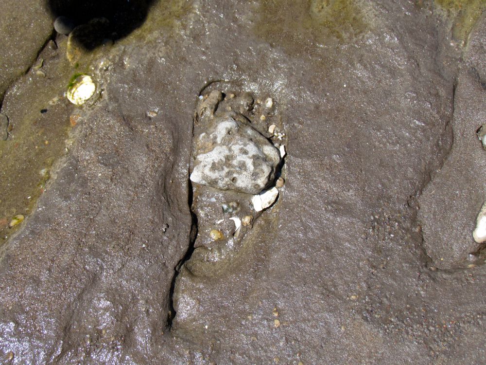 fossilized-footprints-white-sands-national-park-u-s-national-park